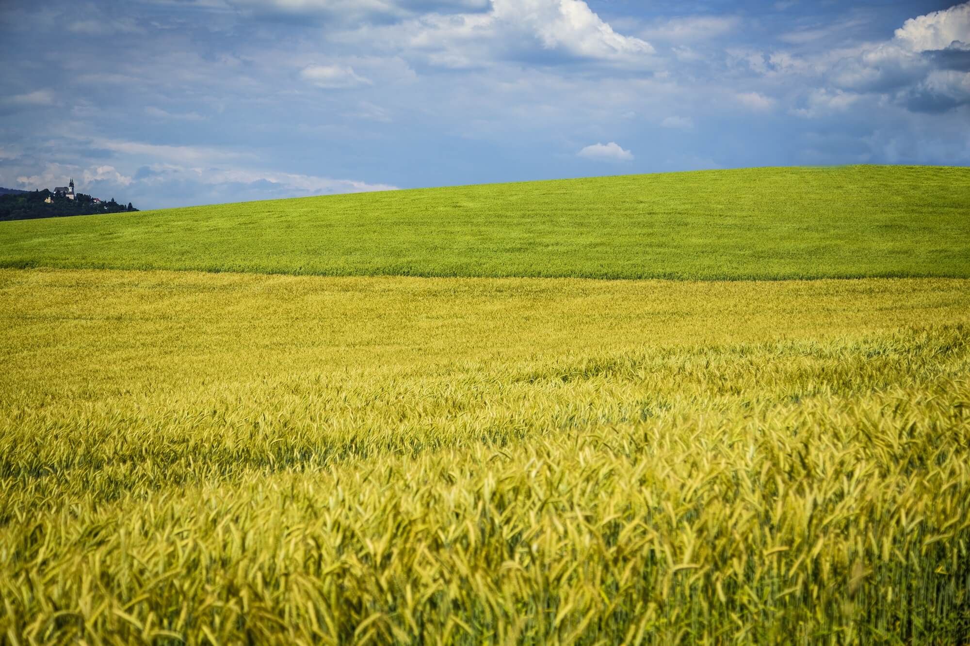 Sprzedaż pola rolnego przed upływem 5 lat od darowizny