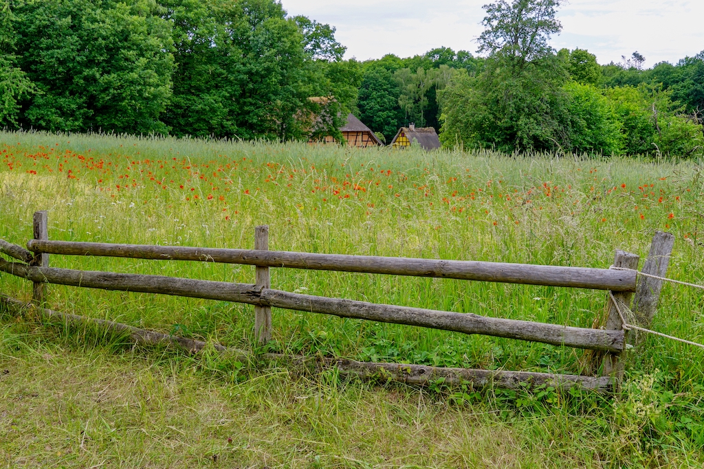 Zakup działki rolnej pod budowę domu, co warto wiedzieć?