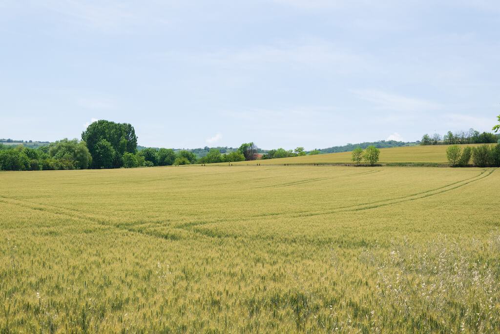 Czy po podziale działki rolnik traci prawo do udziału we wspólnocie gruntowej?