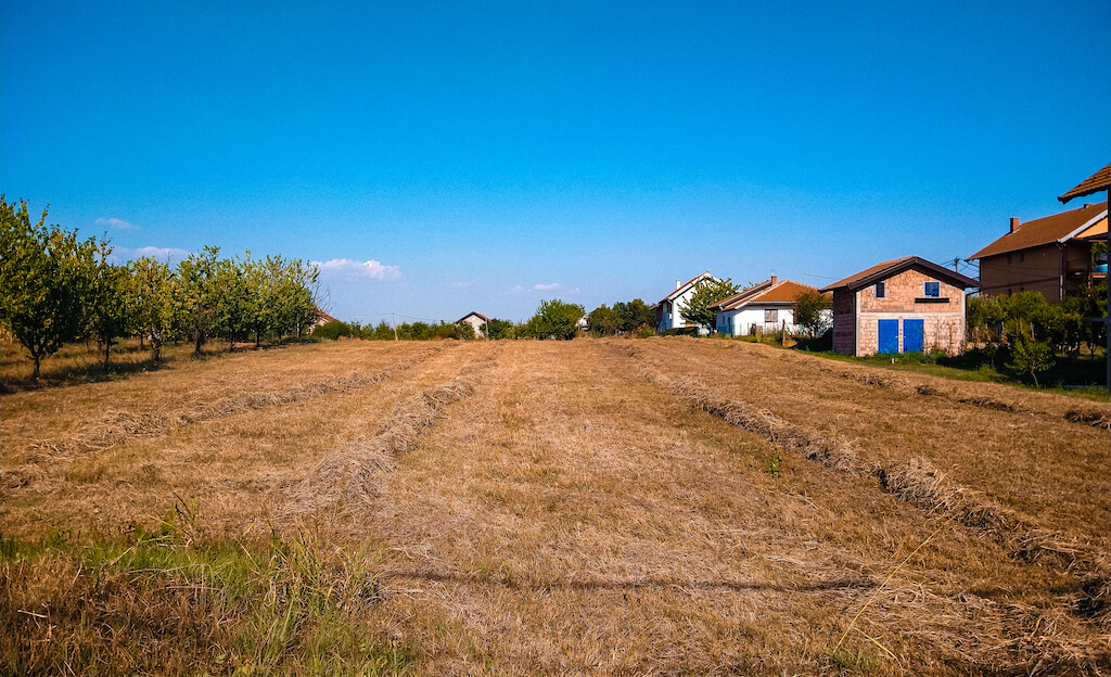 Ograniczenia w dzierżawie nieruchomości rolnej po darowiźnie, konsekwencje dla właścicieli i dzierżawców