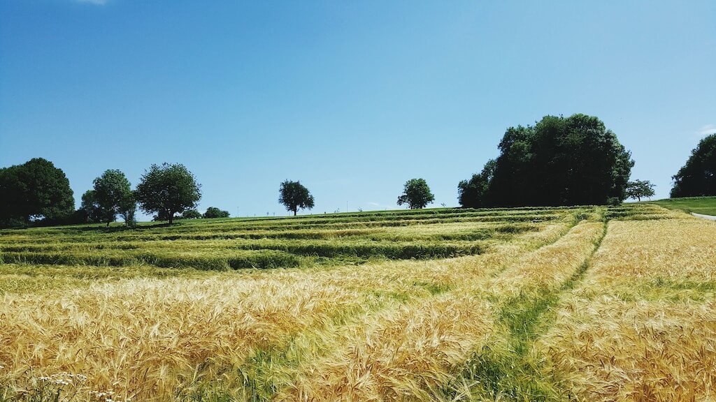 Czy starostwo może zmienić rodzaj użytku działki bez zgody właściciela