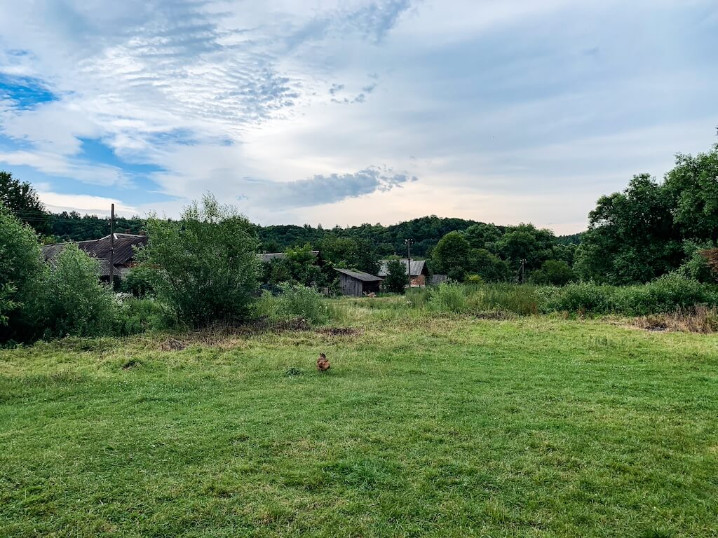 Zakup działki rolnej, ryzyka przy współwłasności i podziale do korzystania