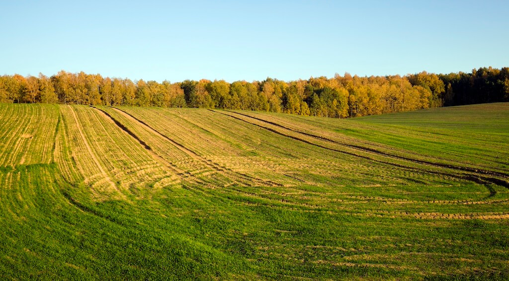 Czy rolnik sprzedający rośliny przez internet musi mieć wpis do BDO?