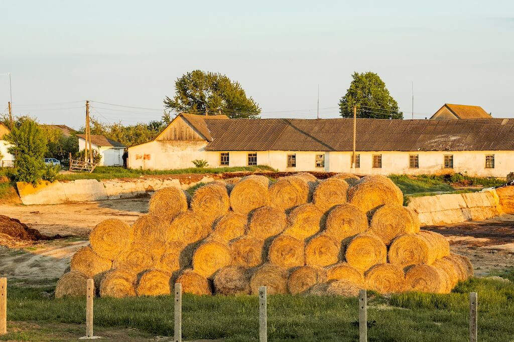 Przeniesienie warunków zabudowy, zabudowa zagrodowa, inwestycja na gruncie rolnym