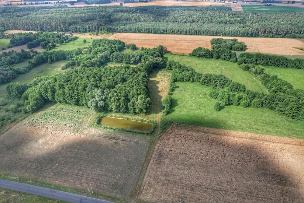 Raport o terenie - jak sprawdzić działkę?