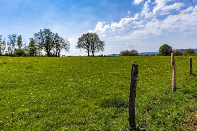 Status rolnika potrzebny do budowy domu na działce zagrodowej