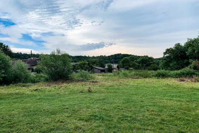 Zakup działki rolnej, ryzyka przy współwłasności i podziale do korzystania