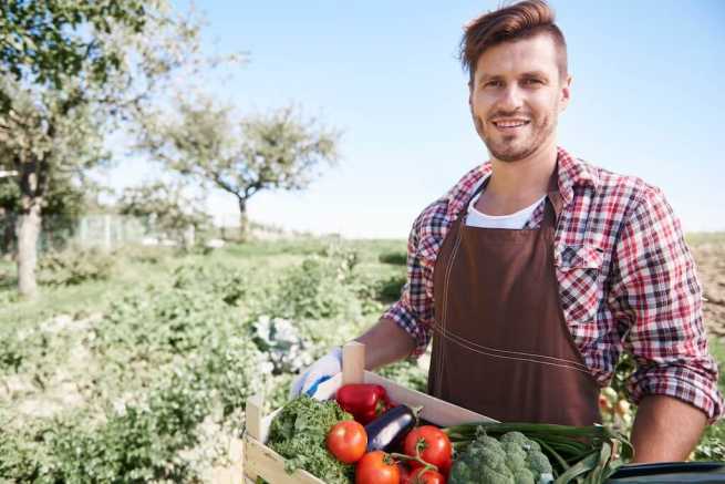 Zaliczenie pracy w gospodarstwie rolnym przed 1983 rokiem, problemy z uznaniem okresu przez KRUS