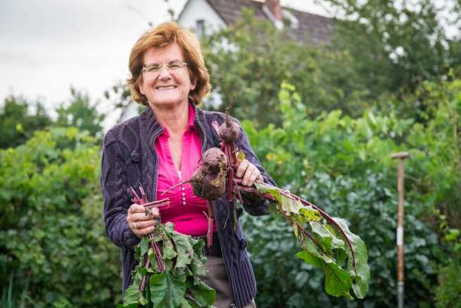 Przekazanie gruntów konkubentowi, plan ogólny i dopłaty z ARiMR, co jest możliwe?