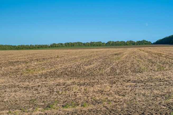 Czy dzierżawa gruntów rolnych pozwala na ubezpieczenie w KRUS