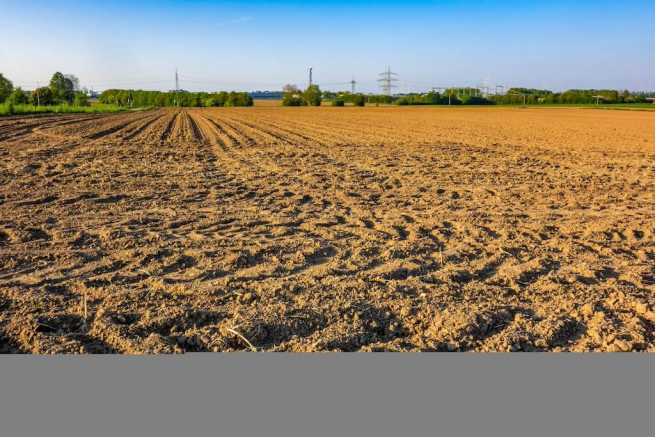 Kontener usługowy na działce rolnej, czy przepisy na to pozwolą?