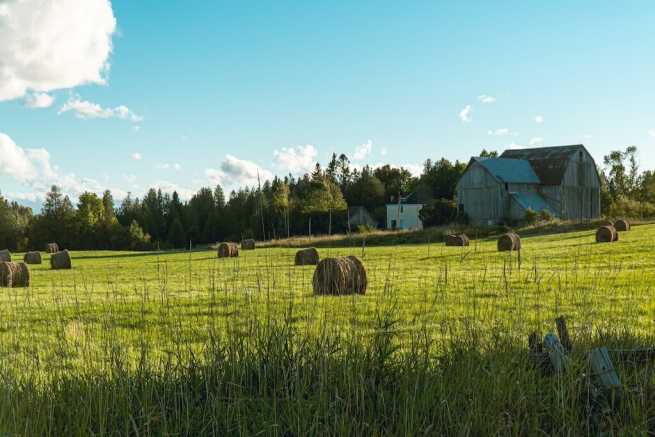 KRUS i ZUS, praca na etacie, obowiązki rolnika