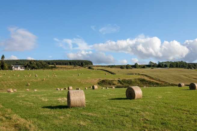 Niezłożenie informacji o gruntach w terminie, podatek rolny, możliwe sankcje i czynny żal