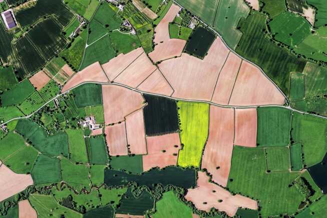 Numer działki - gdzie go sprawdzić i kiedy się przydaje?