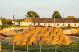 Ubezpieczenie budynków gospodarstwa rolnego po zakupie gospodarstwa