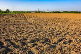 Dzierżawa ziemi rolnej bez wynagrodzenia