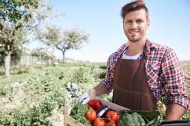 Zaliczenie pracy w gospodarstwie rolnym przed 1983 rokiem, problemy z uznaniem okresu przez KRUS