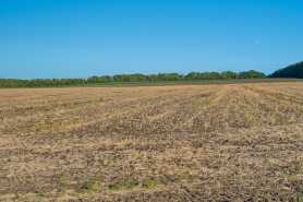 Czy dzierżawa gruntów rolnych pozwala na ubezpieczenie w KRUS