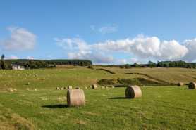 Niezłożenie informacji o gruntach w terminie, podatek rolny, możliwe sankcje i czynny żal