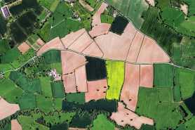 Numer działki - gdzie go sprawdzić i kiedy się przydaje?